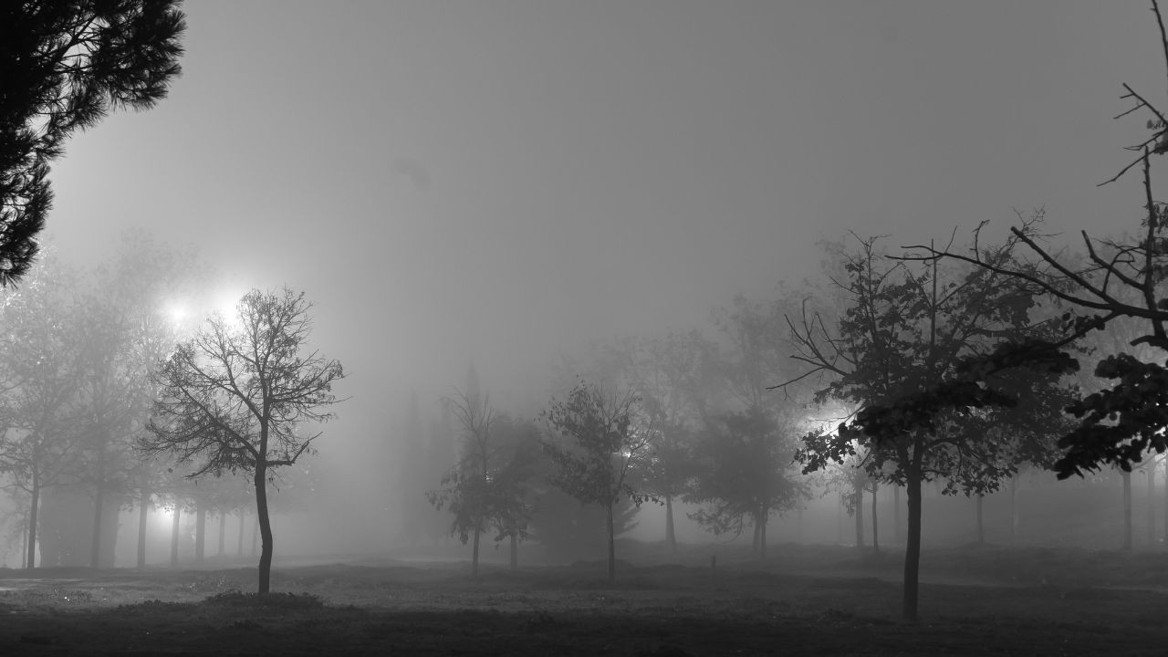 ਪੰਜਾਬ ਵਿੱਚ ਕੜਾਕੇ ਦੀ ਠੰਢ: ਫਰੀਦਕੋਟ ਤੇ ਮਹਿੰਦਰਗੜ੍ਹ ਵਿੱਚ ਤਾਪਮਾਨ ਸਭ ਤੋਂ ਘੱਟ