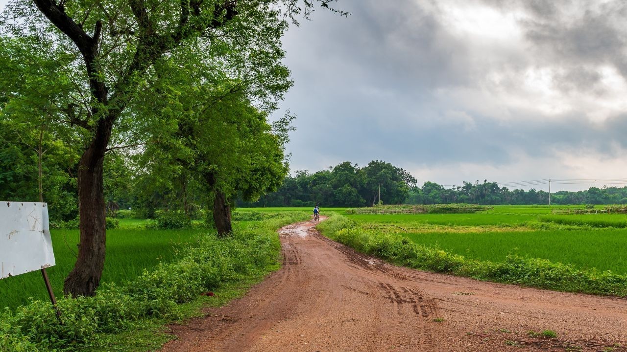 ਪੰਜਾਬ ’ਚ ਸੀਤ ਲਹਿਰ ਨੇ ਵਧਾਈ ਰਾਤਾਂ ਦੀ ਠੰਢ, ਸ਼ਹਿਰਾਂ ’ਚ ਛਾਏ ਰਹਿਣਗੇ ਬੱਦਲ