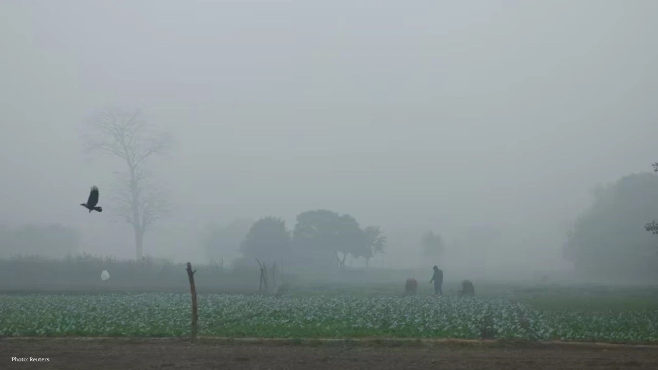 ਪੰਜਾਬ–ਚੰਡੀਗੜ੍ਹ ਵਿੱਚ ਠੰਢ ਦਾ ਕਹਿਰ, 13 ਜ਼ਿਲ੍ਹਿਆਂ ਲਈ ਘਣਾ ਕੋਹਰਾ ਅਲਰਟ