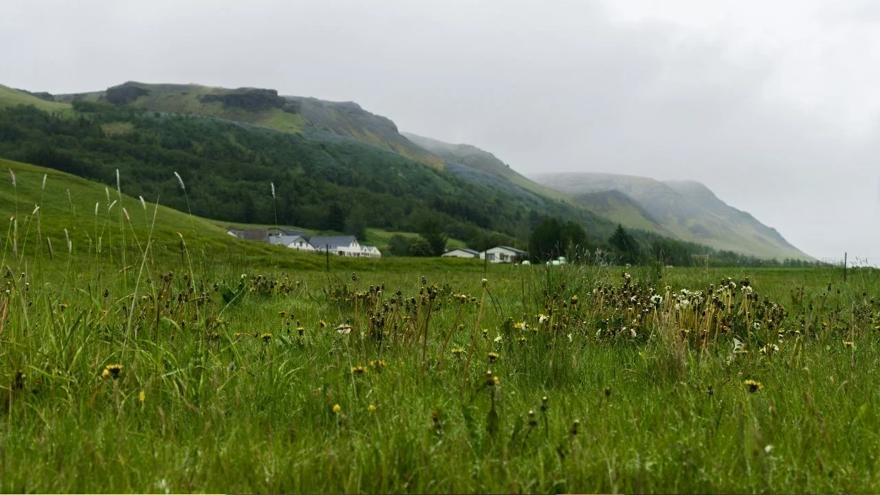 Weather Update : ਪੰਜਾਬ 'ਚ ਅੱਜ ਤੋਂ ਬਦਲੇਗਾ ਮੌਸਮ, ਚੱਲਣਗੀਆਂ ਤੇਜ਼ ਹਵਾਵਾਂ