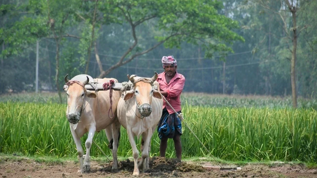 PM Narendra Modi ਵੱਲੋਂ ਅੱਜ ਕਿਸਾਨ ਸਨਮਾਨ ਨਿਧੀ ਦੀ 22ਵੀਂ ਕਿਸ਼ਤ ਜਾਰੀ, ਕਰੋੜਾਂ ਕਿਸਾਨਾਂ ਨੂੰ ਮਿਲੇਗਾ ਫਾਇਦਾ