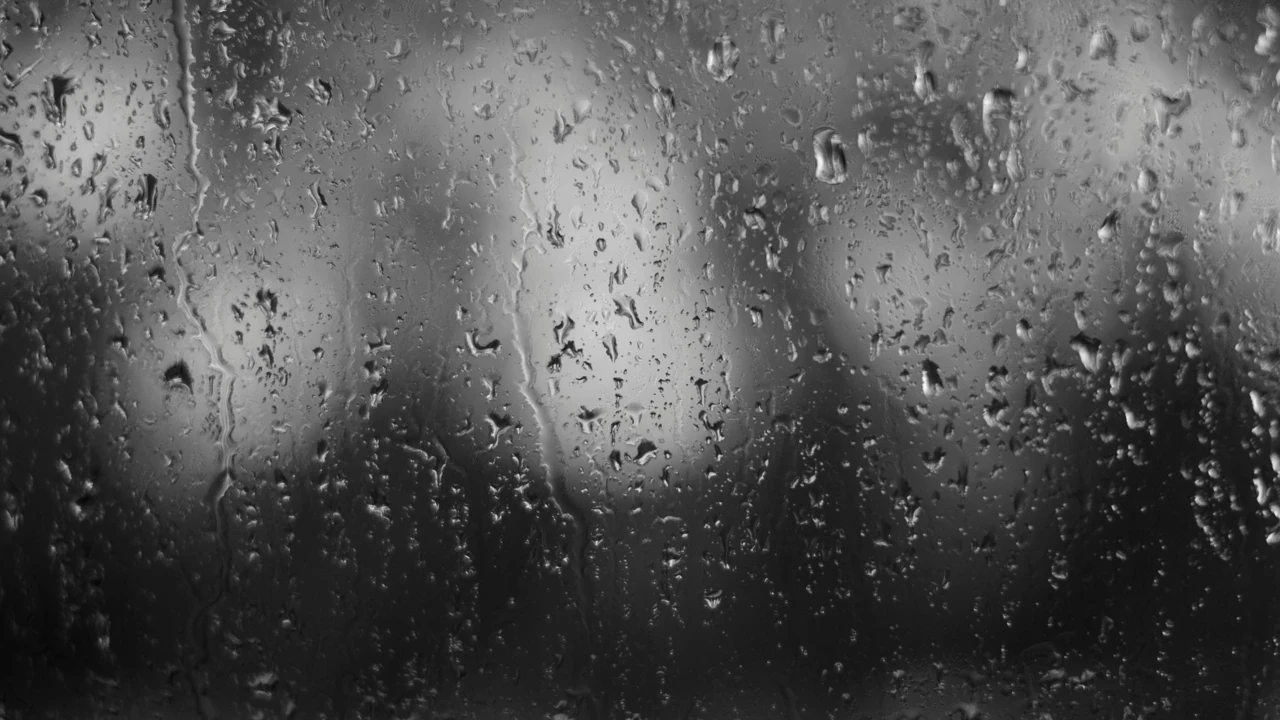 Punjab Rain: ਪੰਜਾਬ ਵਿੱਚ ਮੀਂਹ ਨਾਲ ਗਰਮੀ ਤੋਂ ਵੱਡੀ ਰਾਹਤ, ਇੱਕ ਦਰਜਨ ਤੋਂ ਵੱਧ ਜ਼ਿਲ੍ਹਿਆਂ ਵਿੱਚ ਵਰਖਾ, ਦੋ ਦਿਨਾਂ ਲਈ ਔਰੇਂਜ ਅਲਰਟ