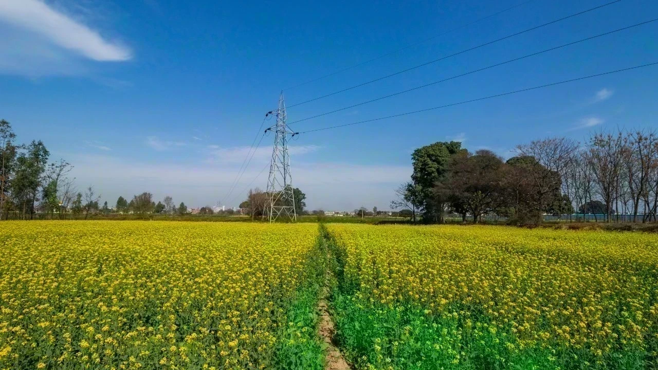 Punjab Weather Update : ਪੰਜਾਬ ‘ਚ ਅੱਜ ਮੀਂਹ ਦਾ ਅਲਰਟ, 17 ਮਈ ਤੋਂ Heatwave ਦਾ ਖਤਰਾ, ਤਾਪਮਾਨ ਫਿਰ ਚੜ੍ਹੇਗਾ