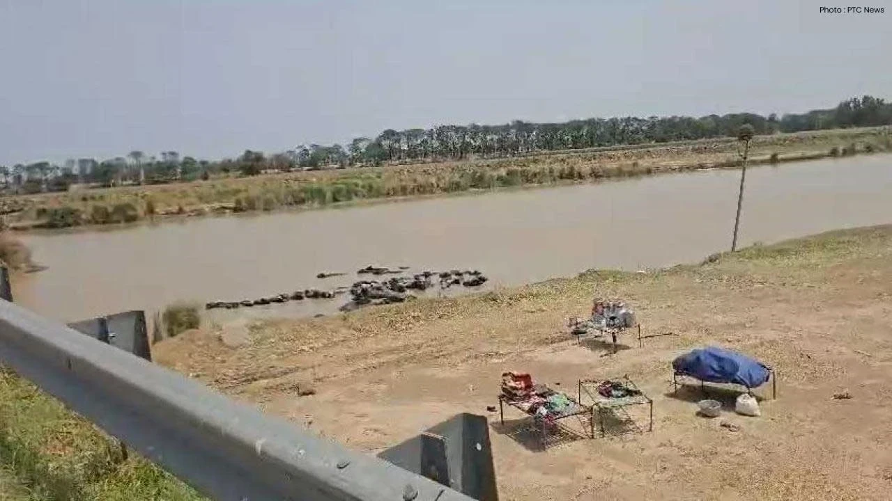 Beas River Alert: ਸੁਲਤਾਨਪੁਰ ਲੋਧੀ ਦੇ ਮੰਡ ਖੇਤਰ 'ਚ ਮੁੜ ਹੜ੍ਹ ਦਾ ਖੌਫ, ਹਜ਼ਾਰਾਂ ਏਕੜ ਫਸਲਾਂ 'ਤੇ ਮੰਡਰਾਇਆ ਖਤਰਾ