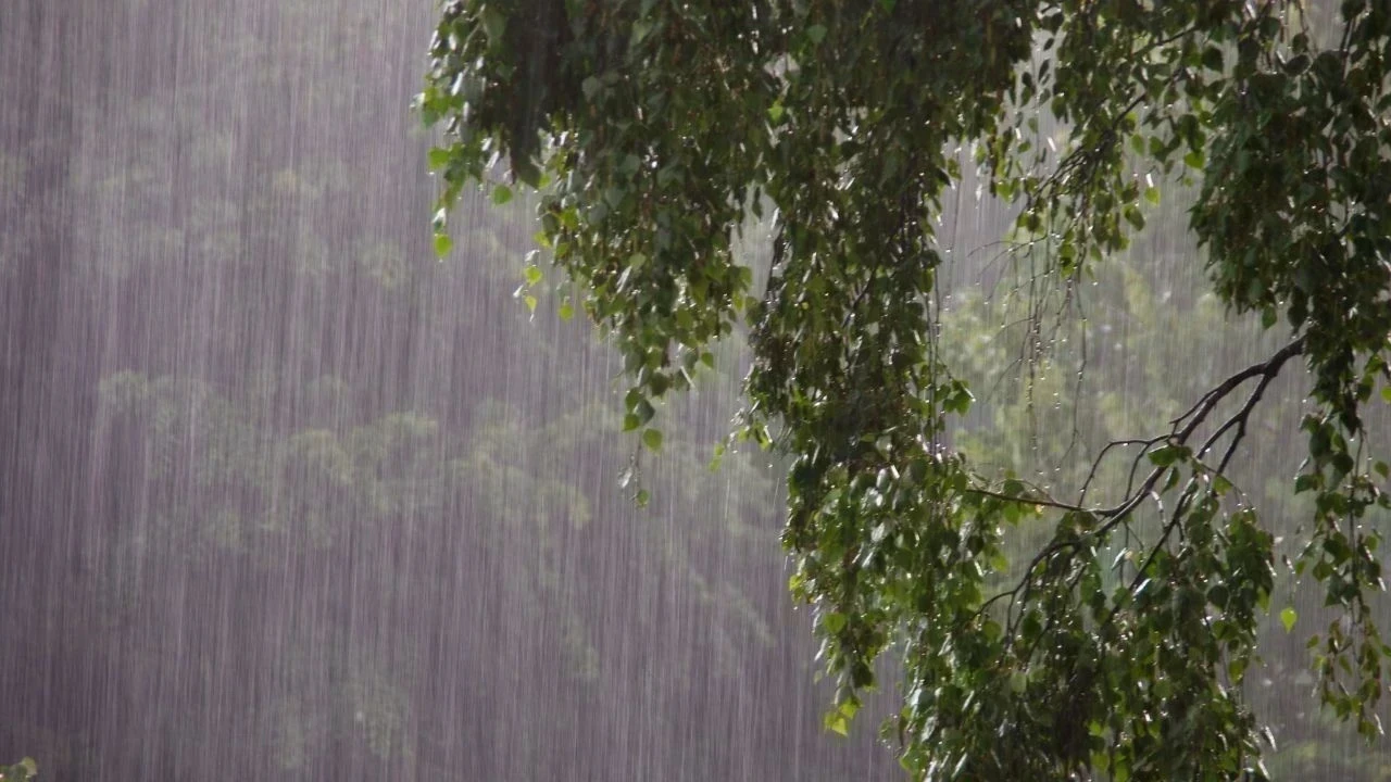 Monsoon Arrival in Punjab Soon: ਪੰਜਾਬ 'ਚ ਜਲਦ ਦਸਤਕ ਦੇਵੇਗਾ ਮਾਨਸੂਨ, 6 ਜੁਲਾਈ ਤੱਕ ਯੈਲੋ ਅਲਰਟ ਜਾਰੀ