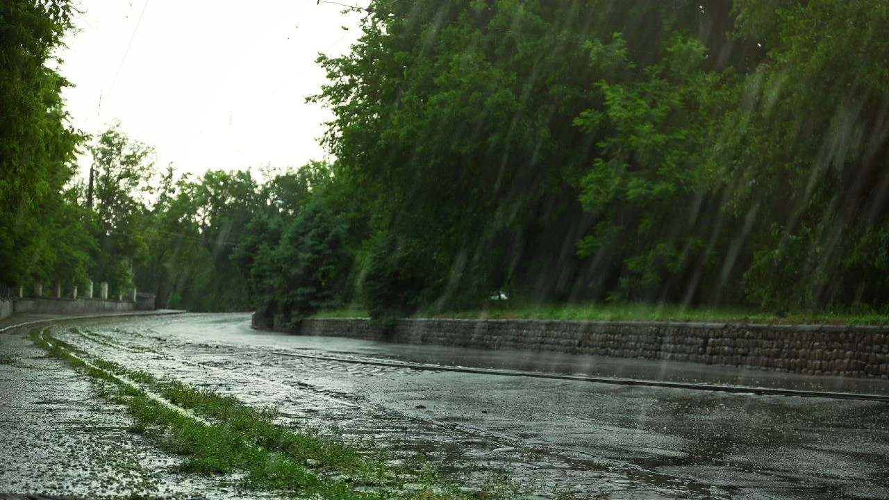 Punjab Weather Update: ਪੰਜਾਬ ਵਿੱਚ 12 ਜੁਲਾਈ ਤੱਕ ਭਾਰੀ ਮੀਂਹ ਦਾ ਅਲਰਟ, 6 ਜ਼ਿਲ੍ਹਿਆਂ ਲਈ ਖਾਸ ਚੇਤਾਵਨੀ ਜਾਰੀ
