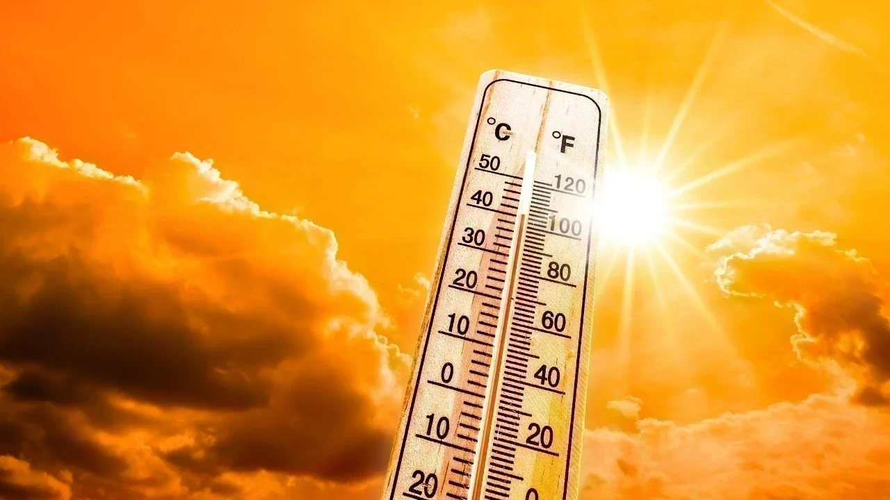Punjab Weather Update: ਪੰਜਾਬ ਵਿੱਚ Monsoon ਹੋਇਆ ਸੁਸਤ, 8 ਜ਼ਿਲ੍ਹਿਆਂ ਲਈ Humid Heat Alert, 20 ਜੁਲਾਈ ਤੋਂ Heavy Rain ਦੀ ਸੰਭਾਵਨਾ