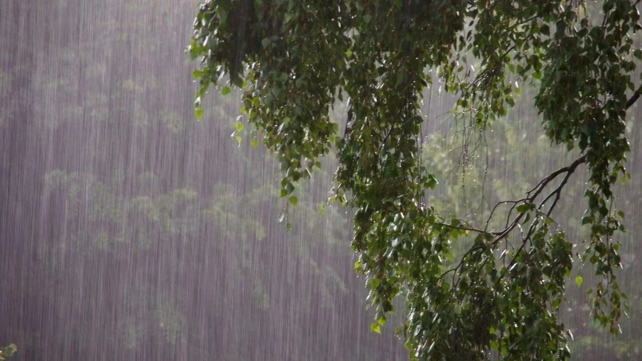 Weather Update: ਪੰਜਾਬ-ਚੰਡੀਗੜ੍ਹ 'ਚ 4 ਦਿਨ ਮੀਂਹ ਦਾ ਅਲਰਟ, 21 ਤੋਂ 23 ਜੁਲਾਈ ਤੱਕ ਭਾਰੀ ਬਾਰਿਸ਼ ਦੀ ਸੰਭਾਵਨਾ