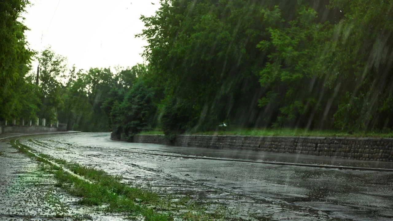 Punjab Weather Update: ਪੰਜਾਬ ਵਿੱਚ ਮੌਸਮ ਨੇ ਲਈ ਕਰਵਟ, ਪਾਰਾ 2.6 ਡਿਗਰੀ ਘਟਿਆ, 20 ਜ਼ਿਲ੍ਹਿਆਂ ਵਿੱਚ ਮੀਂਹ ਦਾ ਅਲਰਟ