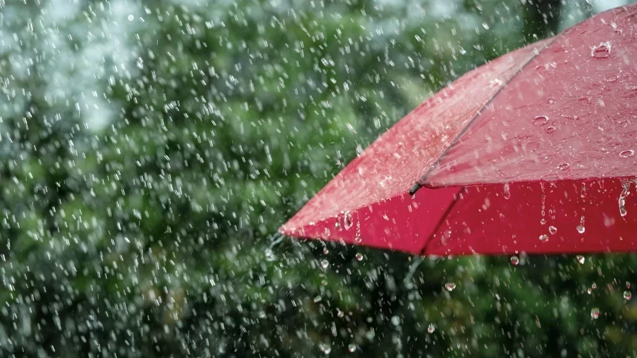 Punjab Weather 29 July: ਪੰਜਾਬ ਵਿੱਚ ਮੁੜ ਐਕਟਿਵ ਹੋਇਆ ਮਾਨਸੂਨ, IMD ਵੱਲੋਂ Orange Alert ਜਾਰੀ; ਕਈ ਜ਼ਿਲ੍ਹਿਆਂ ਵਿੱਚ ਭਾਰੀ ਮੀਂਹ ਦੀ ਚੇਤਾਵਨੀ