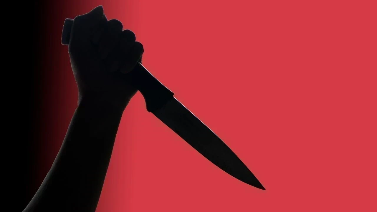 Patiala Murder Case: ਸ਼ਰਾਬ ਲਈ ਪੈਸੇ ਨਾ ਮਿਲਣ ’ਤੇ ਪਤੀ ਨੇ ਪਤਨੀ ਦਾ ਚਾਕੂ ਮਾਰ ਕੇ ਕੀਤਾ ਕਤਲ, ਮੁਲਜ਼ਮ ਫਰਾਰ