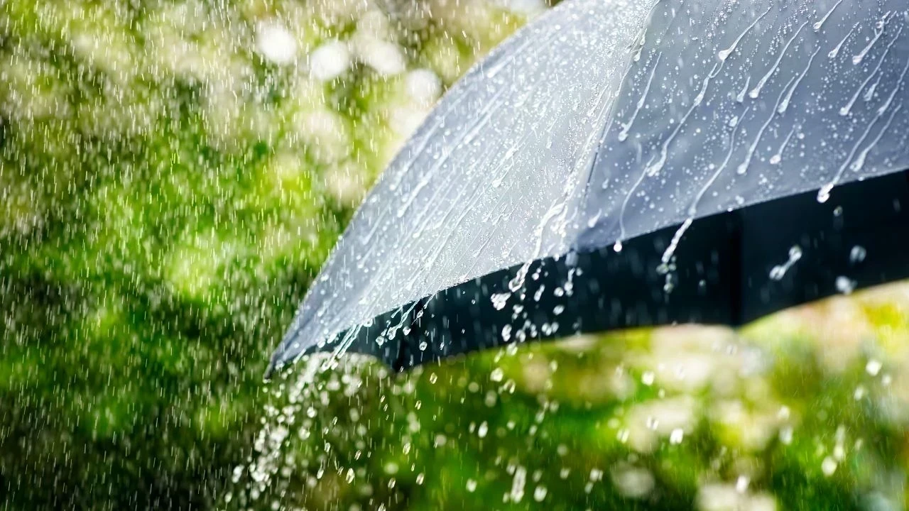 Himachal Pradesh Weather News: ਮਾਨਸੂਨ ਮੁੜ ਹੋਇਆ ਸਰਗਰਮ, 2 ਦਿਨ Orange Alert; ਕਈ ਜ਼ਿਲ੍ਹਿਆਂ ’ਚ ਭਾਰੀ ਮੀਂਹ ਦੀ ਚਿਤਾਵਨੀ