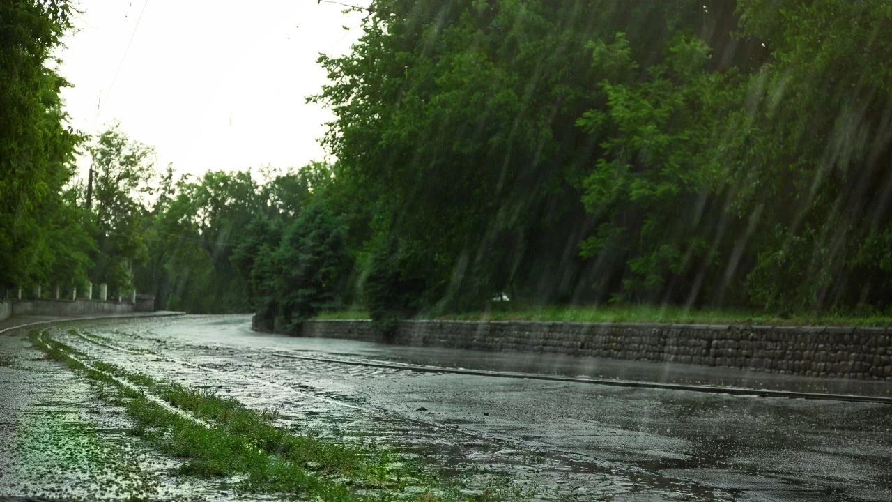 Punjab Weather 19 August: ਪੰਜਾਬ-ਚੰਡੀਗੜ੍ਹ ’ਚ ਮੀਂਹ ਦਾ ਦੌਰ ਜਾਰੀ, IMD Yellow Alert