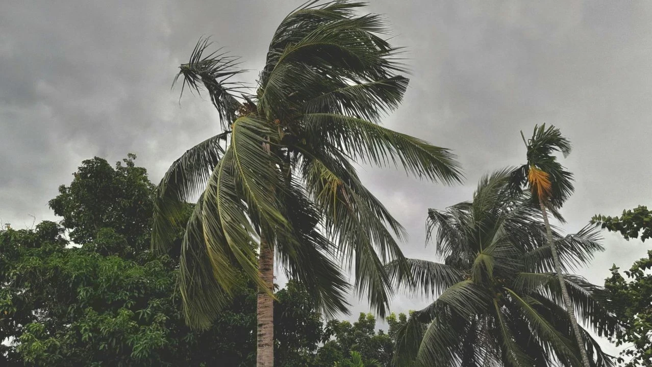 Punjab Weather Alert: ਪੰਜਾਬ ਦੇ ਕਈ ਜ਼ਿਲ੍ਹਿਆਂ ’ਚ ਮੀਂਹ ਤੇ ਤੂਫ਼ਾਨ ਦਾ ਅਲਰਟ, 16 ਸਤੰਬਰ ਨੂੰ ਰਹੇਗਾ ਮੌਸਮ ਸਭ ਤੋਂ ਸਰਗਰਮ