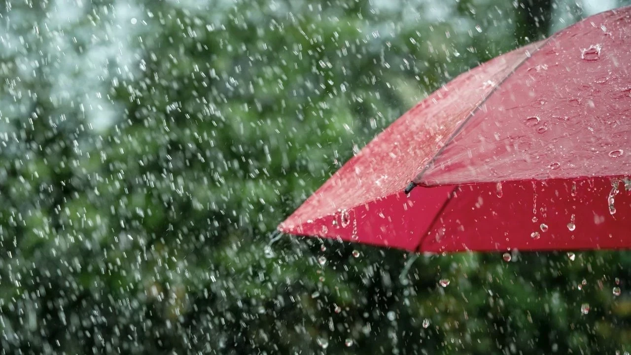 Punjab Weather Update: 3 ਜ਼ਿਲ੍ਹਿਆਂ ’ਚ ਮੀਂਹ ਦੀ ਸੰਭਾਵਨਾ, ਤਾਪਮਾਨ ਡਿੱਗਿਆ; ਬਿਜਲੀ ਦੀ ਮੰਗ ਵੀ ਘਟੀ