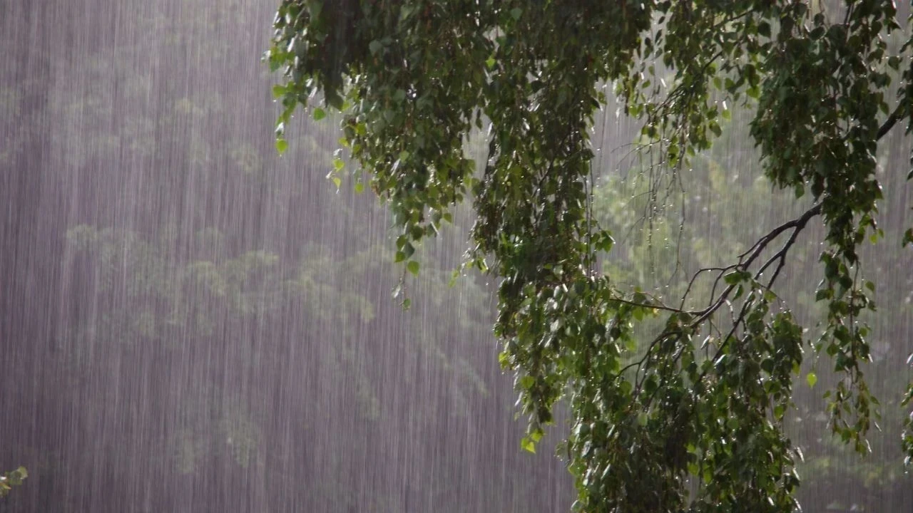 Punjab Weather Update: ਪੰਜਾਬ ਵਿੱਚ ਅੱਜ ਮੌਸਮ ਰਹੇਗਾ ਸਾਫ਼, 24-25 ਅਕਤੂਬਰ ਨੂੰ ਇਨ੍ਹਾਂ ਜ਼ਿਲ੍ਹਿਆਂ ਵਿੱਚ ਮੀਂਹ ਦੀ ਸੰਭਾਵਨਾ